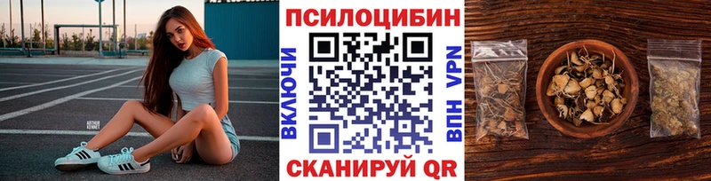купить  цена  Североуральск  Галлюциногенные грибы мицелий 